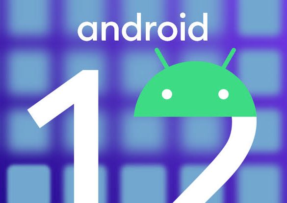 Android 12 Leaked Features and First Look