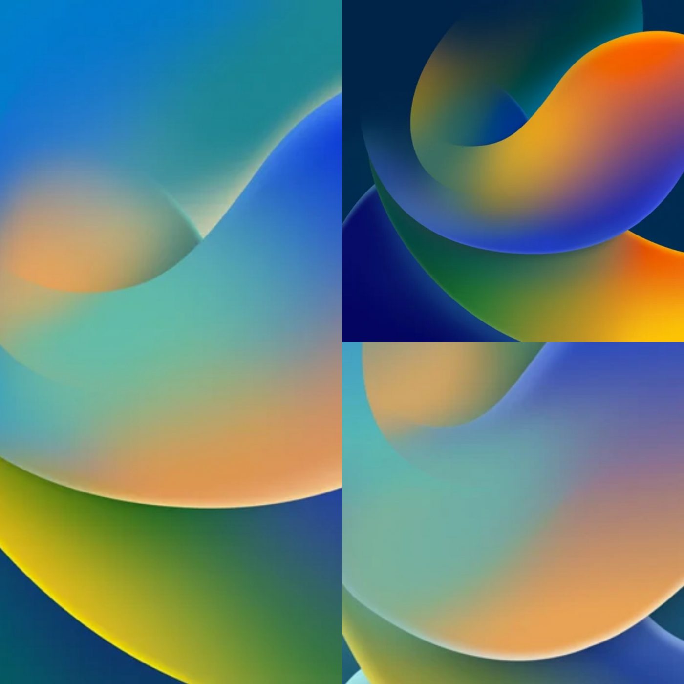 My Image 26