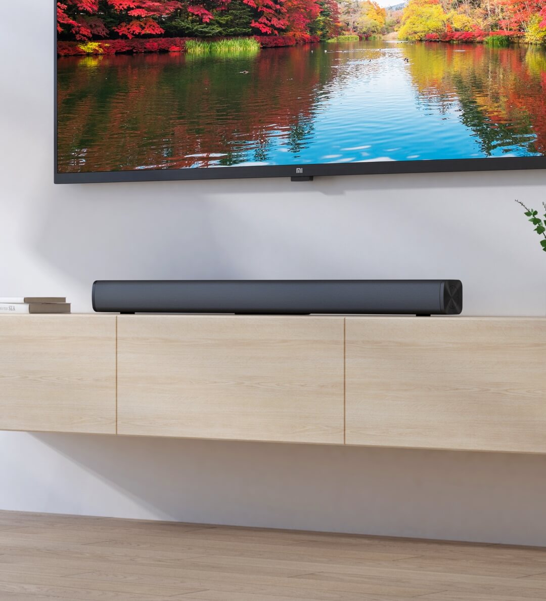 Redmi TV SoundBar